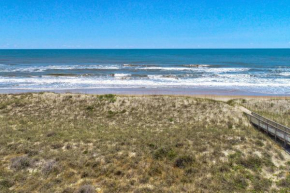 Dolphin Watch 224